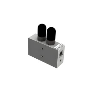 Duel Counter Balance Valve  -  2CB06T03
