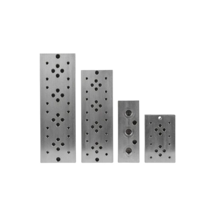 Variety Manifold Block 1